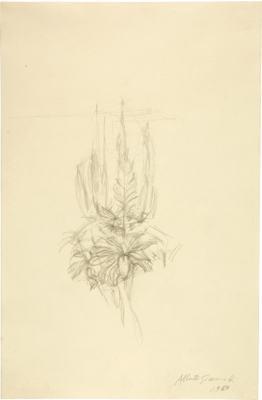 Fondation Giacometti -  Bouquet